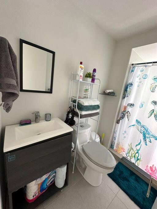 Cozy Place In The Heart Of Cdmx Apartment Mexico City